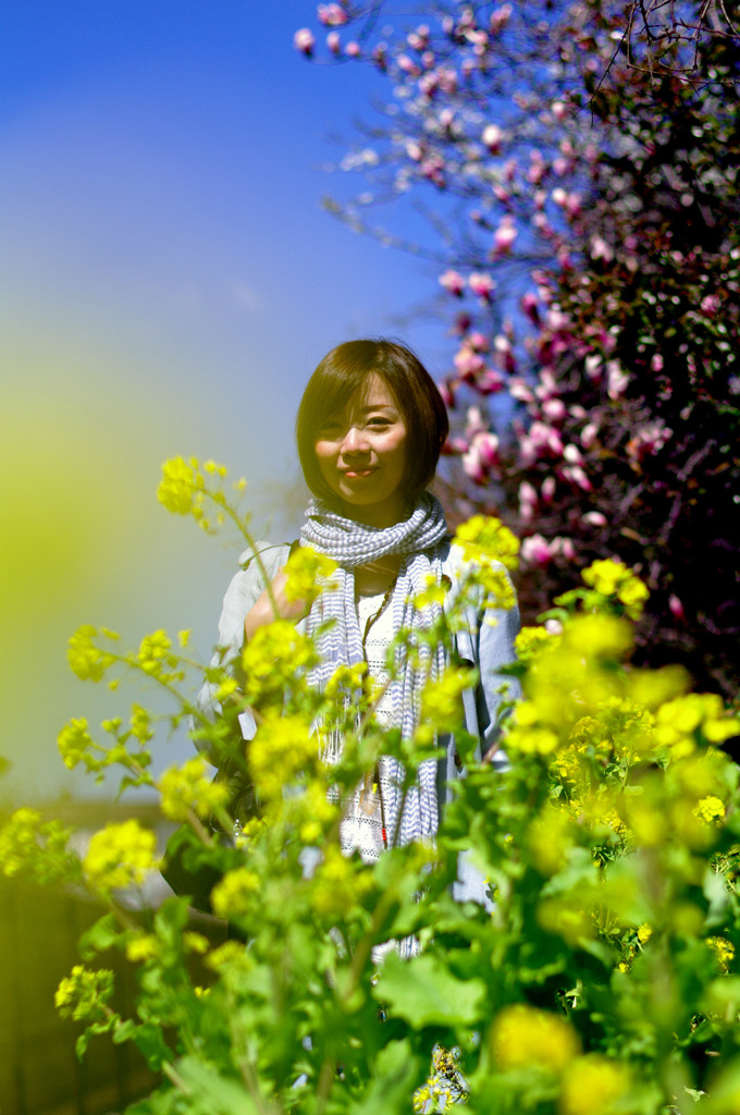 春に囲まれ