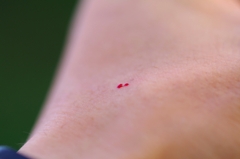 食事終わった、俺の血残ってくれ！