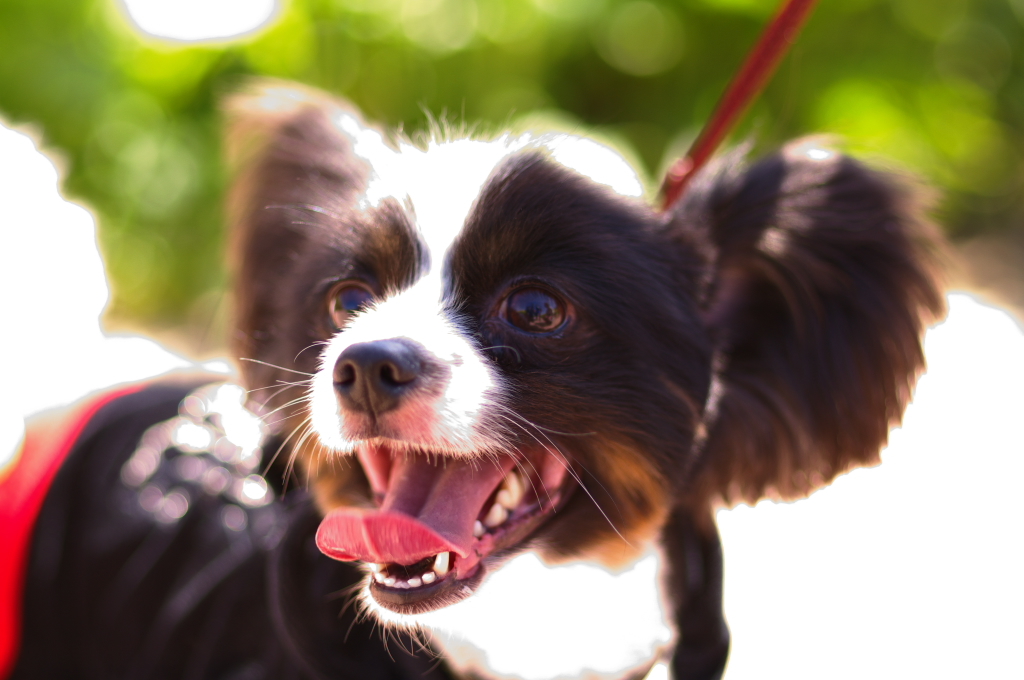 はっはっは。。。。￥