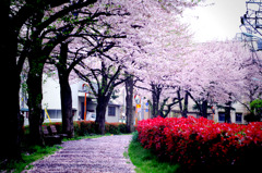 春のイメージ２