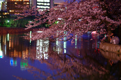 夜桜