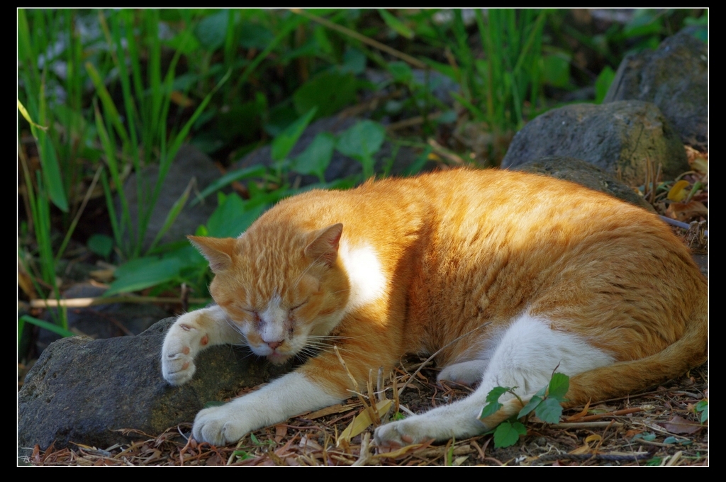 あっ、いてぇ。。。