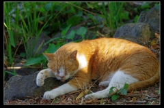 あっ、いてぇ。。。