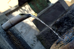 箱根旧街道散策