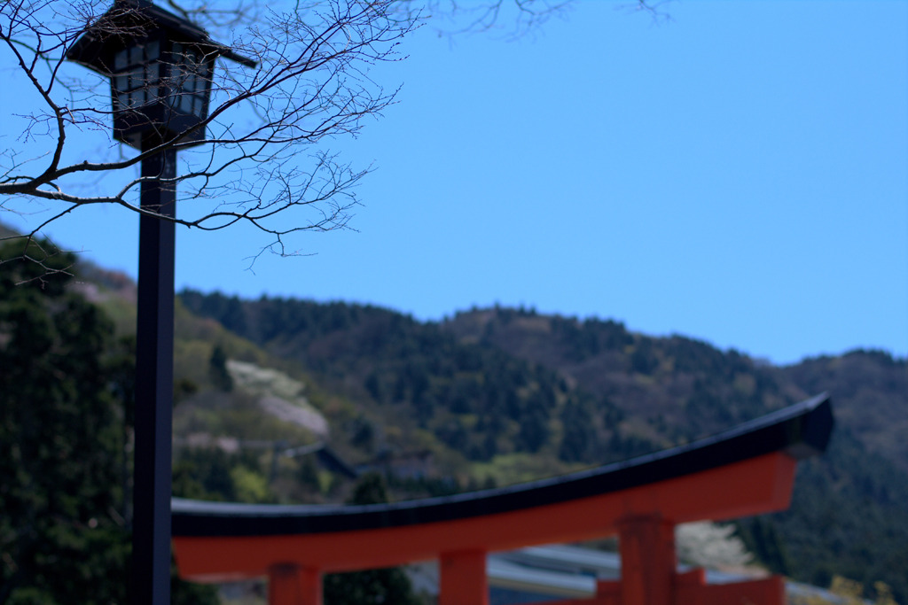 まだ暖かくない