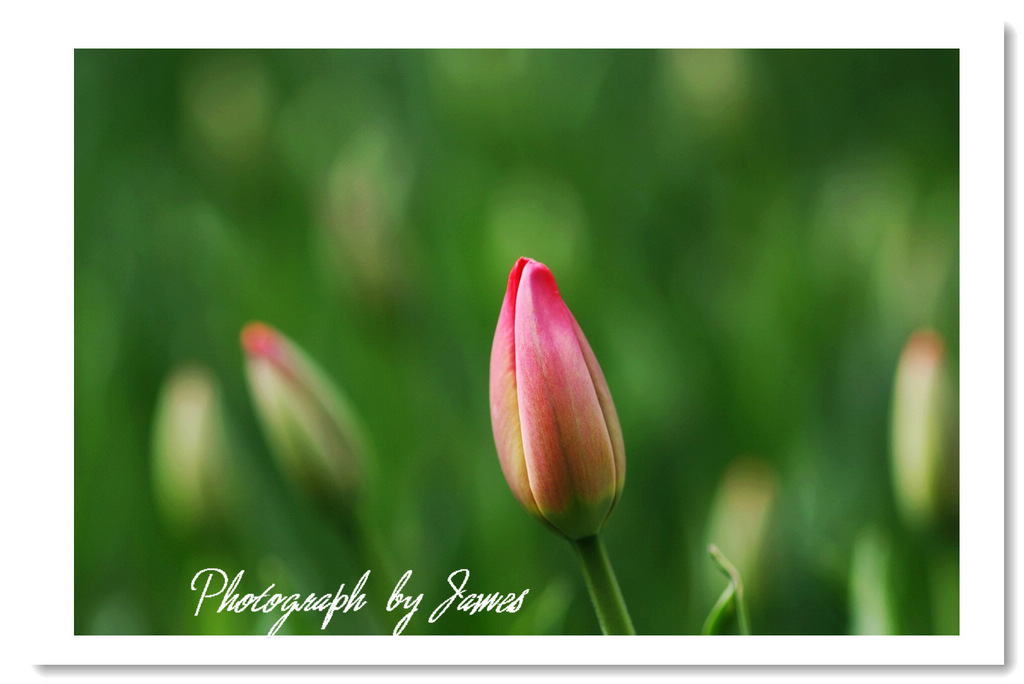 6WO)]G@JT$15JPF8P_%ZHSA