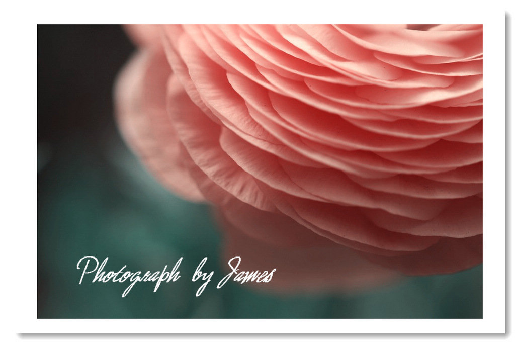 ~_)W5IHTTYKLI2A23)~MOG2