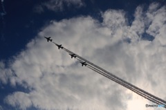 Blue Impulse 2014入間航空祭 - 19 ／ 30