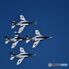 Le Grand Bleu 2016 - 10 ／ 88