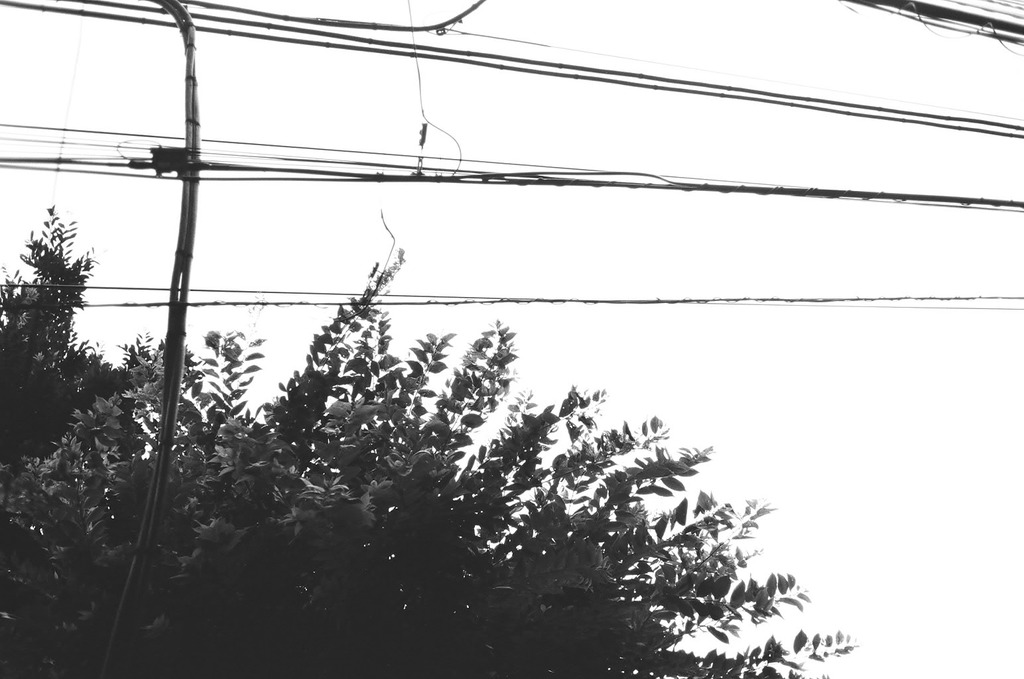 電線