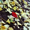 君が主役だ