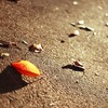 季節は視線の先に