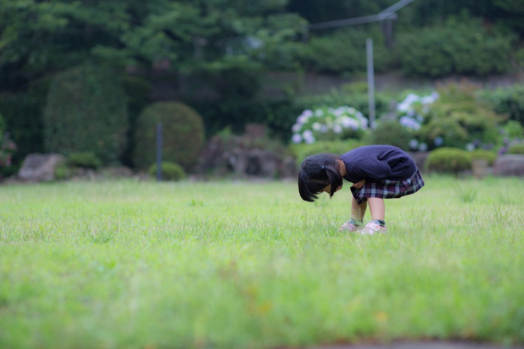 これなぁに