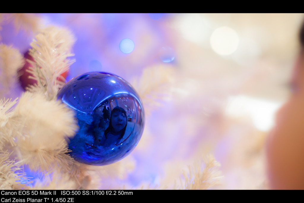 明日はクリスマス！！