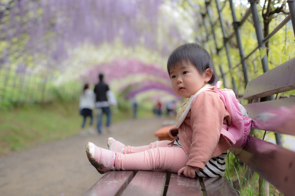 藤のトンネル