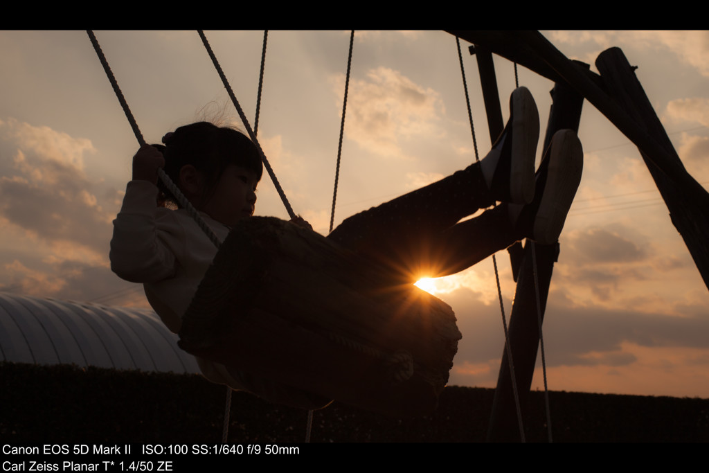 夕日がキラリ