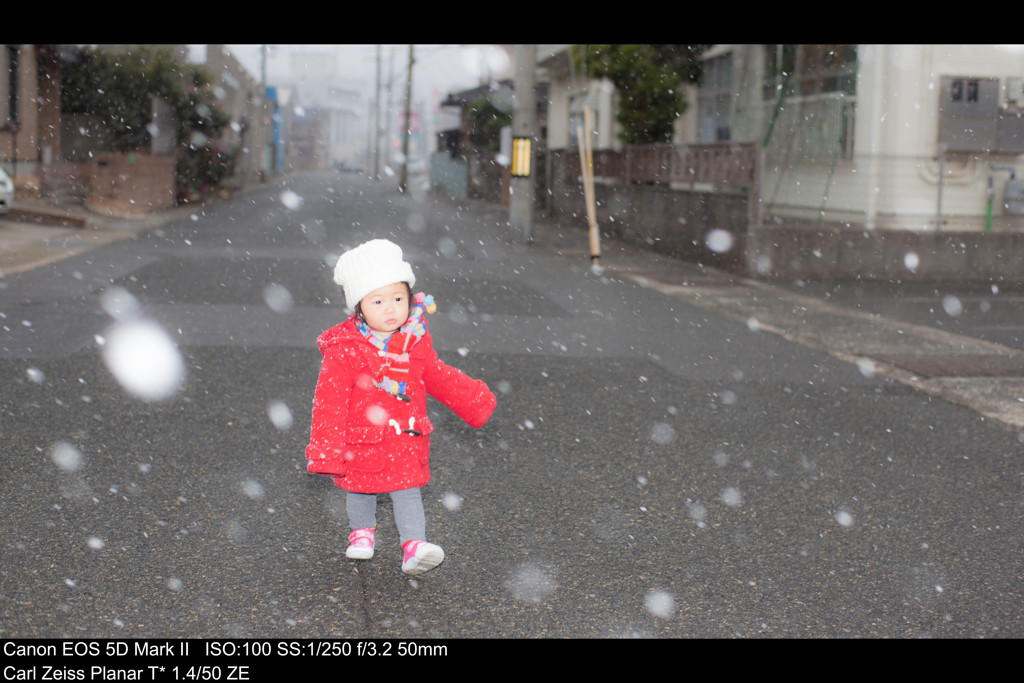 子供はかぜのこ