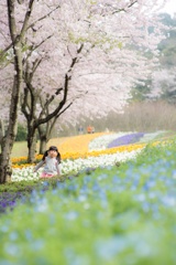ayano的な春の色3