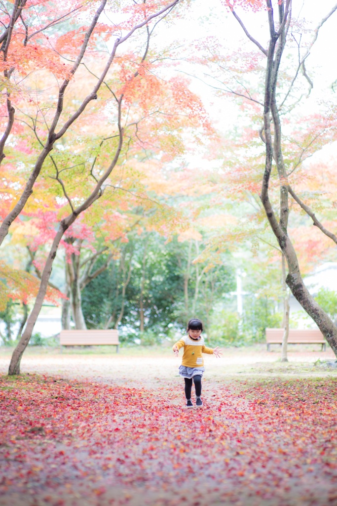 紅葉を満喫3