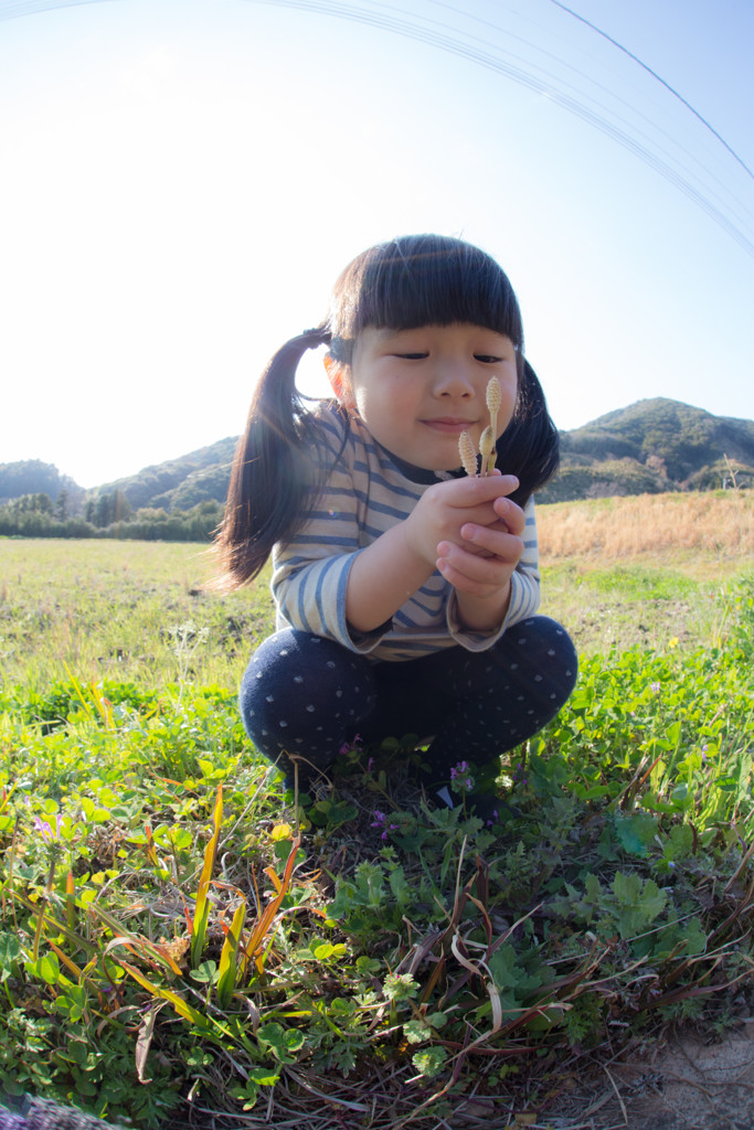 ayano的な春の色