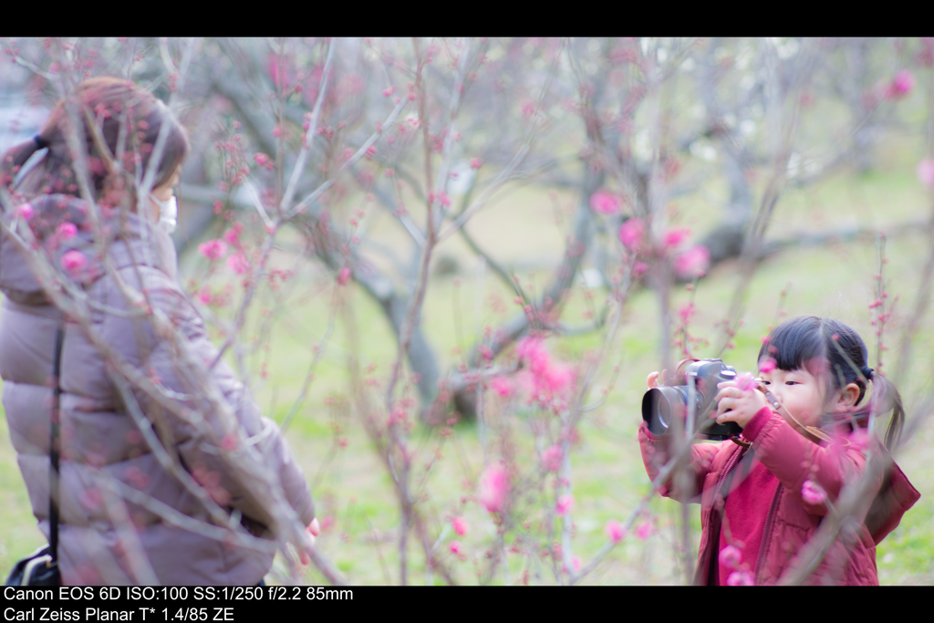 きれいにとっておくんなまし By にこにこ仙ちゃん Id 写真共有サイト Photohito きれいにとっておくんなまし By にこにこ仙ちゃん Id 写真共有サイト Photohito