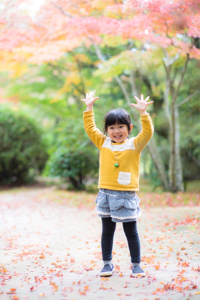 手のひら紅葉