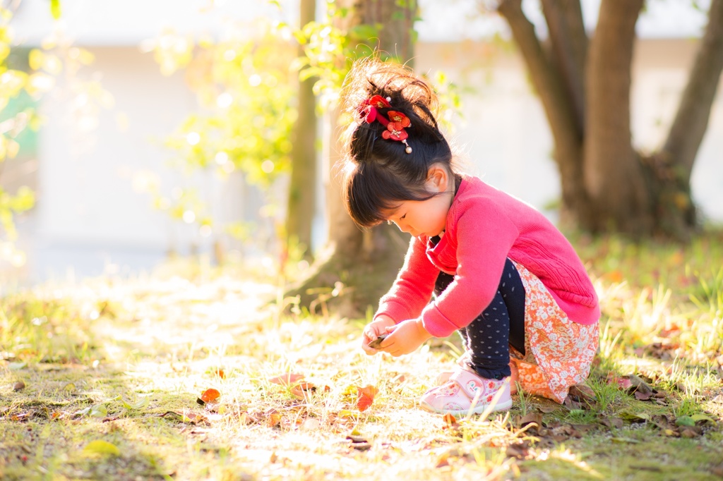 紅葉探し