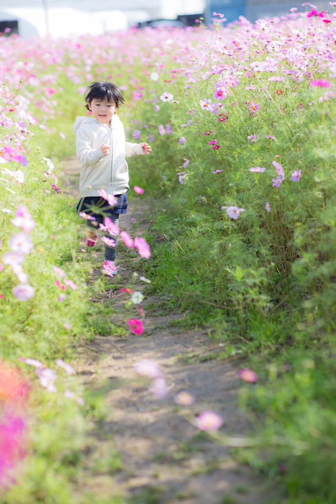 秋を駆け抜けろ！！