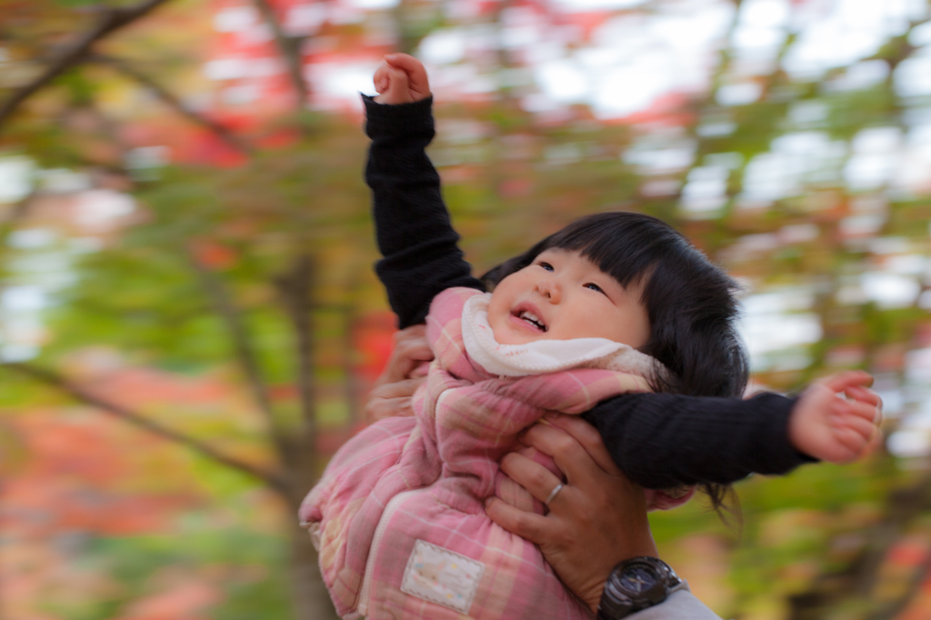 紅葉流し