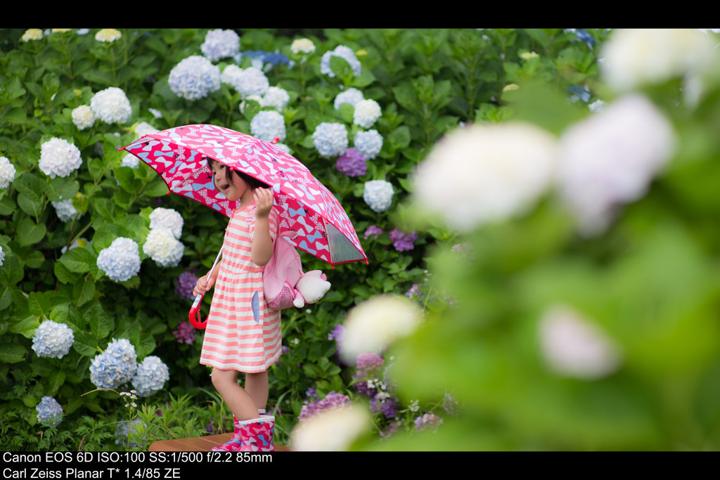 梅雨の撮影会3