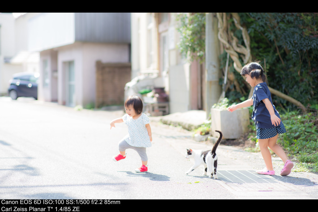 hitomiにつづくニャン！