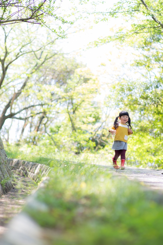 緑の散歩道