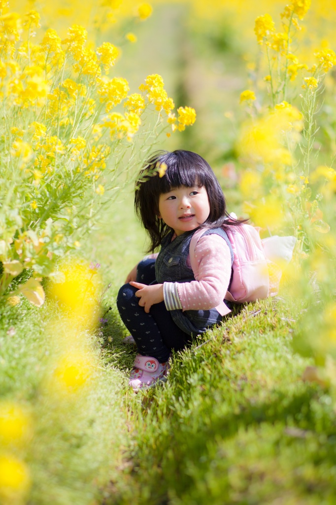 菜の花畑