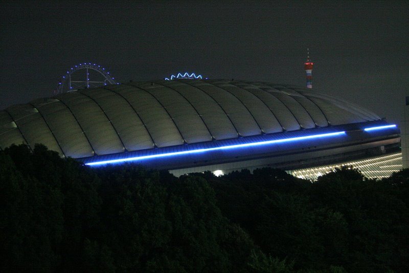 UFO、森のなかに不時着！？