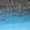 凍る青い池②