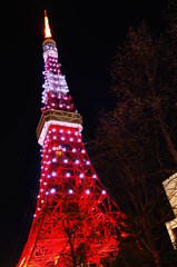 東京タワー（8：00過ぎ）