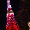 東京タワー（8：00過ぎ）