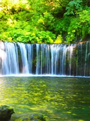 白糸の滝（群馬）