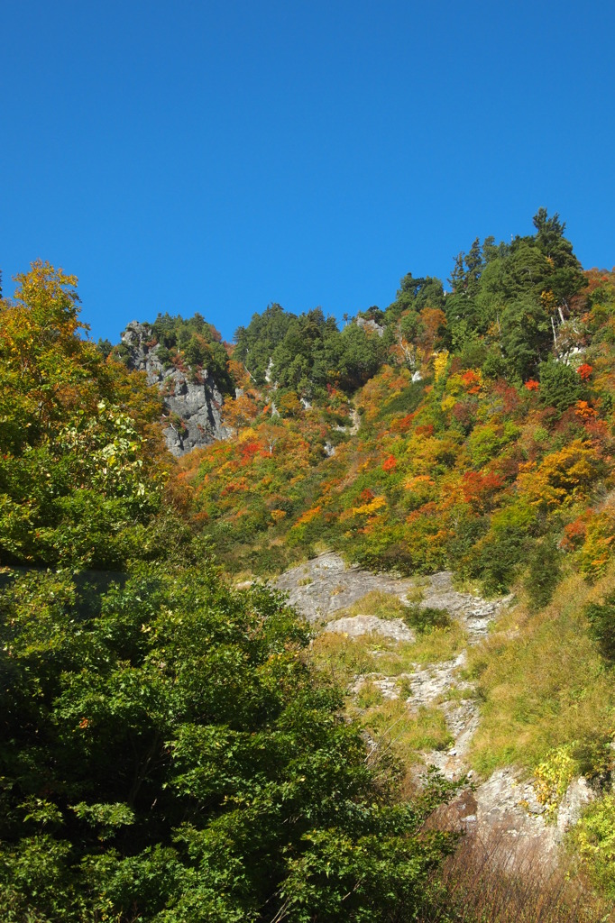 紅葉始まり