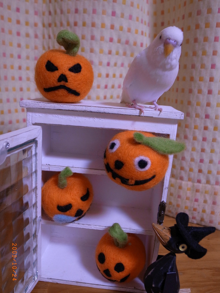Halloween　Bird