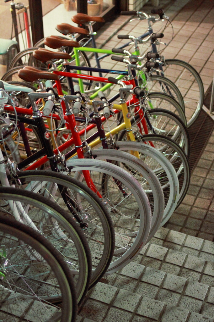 bicycle line