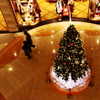 Ｘmasまでの日常