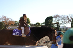 二年ぶりの乗馬