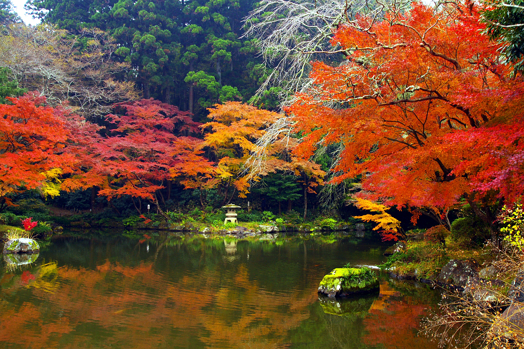 紅色彩