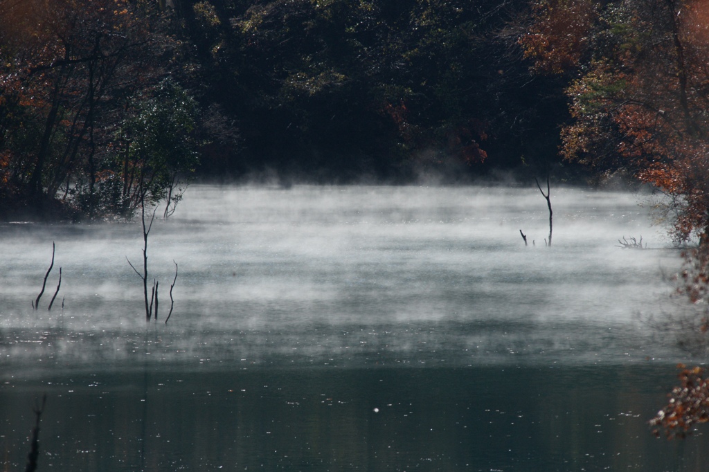 湖上の霧炎