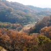 寒さ強まる谷戸