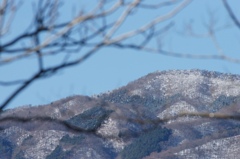 初冠雪