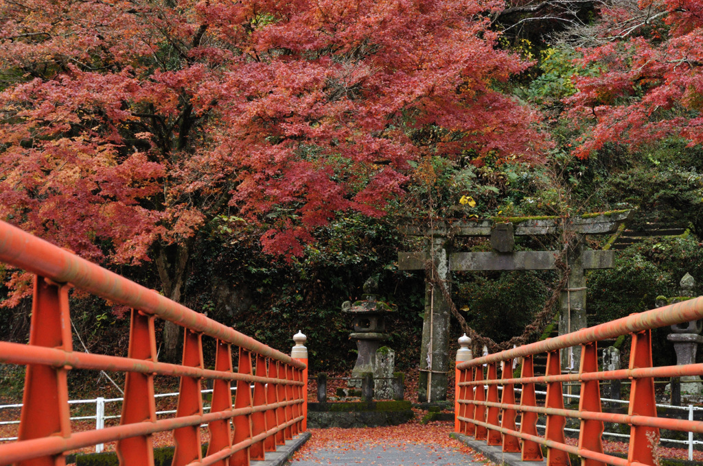 鎮守の森