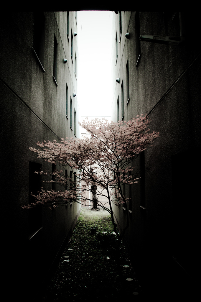 隙間の光景