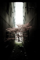 隙間の光景